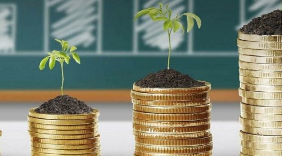 investisiyalarla-bagli-maraqli-faktlar-foto