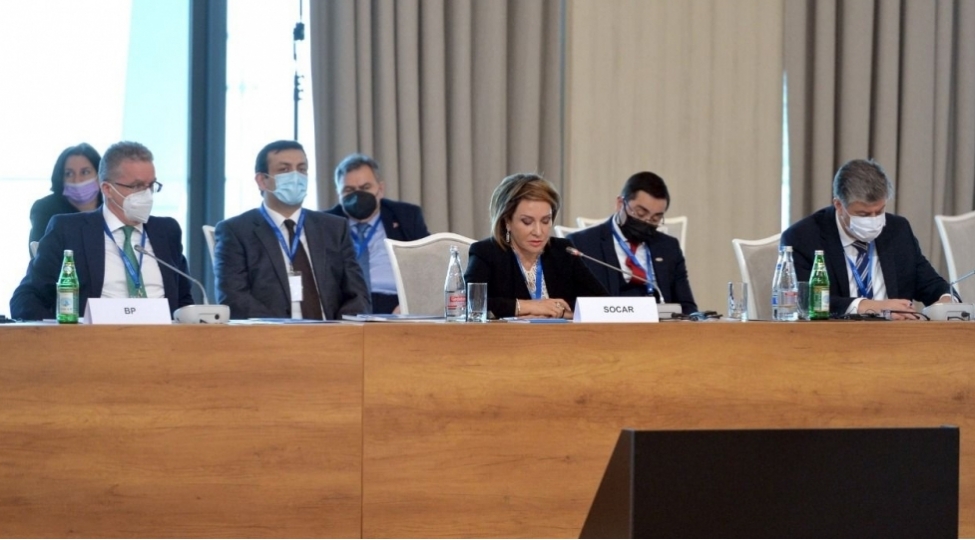 refiqe-huseynzade-ekoloji-dayaniqli-texnologiyalarin-tetbiqi-sayesinde-yashil-iqtisadiyyata-kechid-mumkun-olacaq