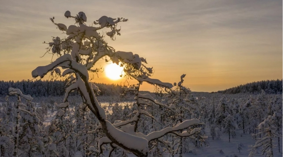 ilon-mask-40-peykini-maqnit-qasirgasi-ucbatindan-itirib