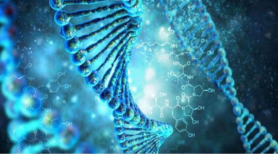 yeni-rekorda-imza-atdi