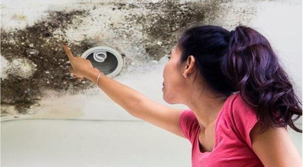 evdeki-kif-hansi-xesteliklere-sebeb-ola-biler