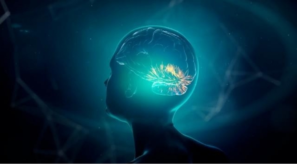 olum-aninda-15-deqiqelik-beyin-fealiyyetini-qeyde-aliblar