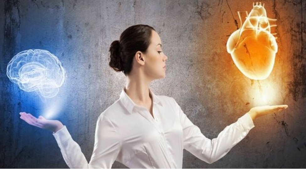 bu-mehsullar-urek-ve-beyin-uchun-vacibdir