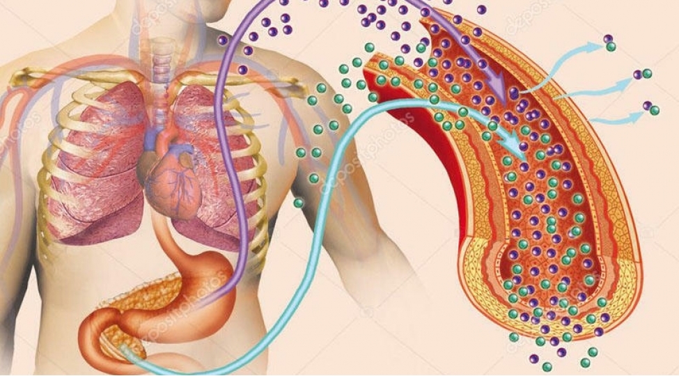 insulin-haqqinda-ne-bilirik