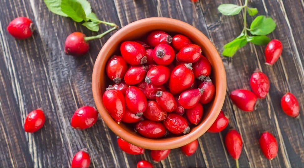 orqanizmi-dircheltmek-uchun-ucuz-vasite