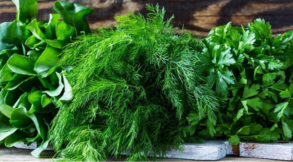 boyrek-sidik-kisesinin-mualicesi-uchun-bu-goyertileri-yeyin