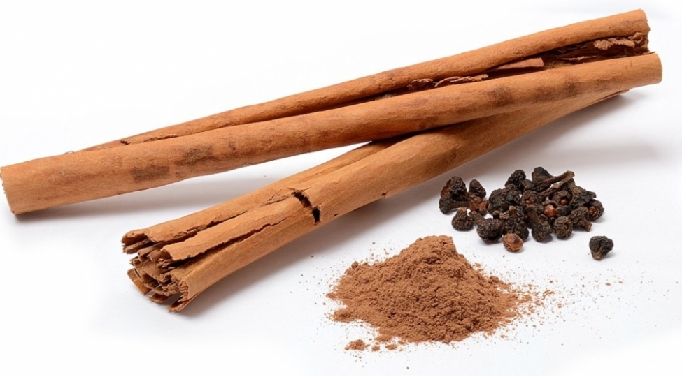 agiz-qoxusunu-yox-eden-vasite