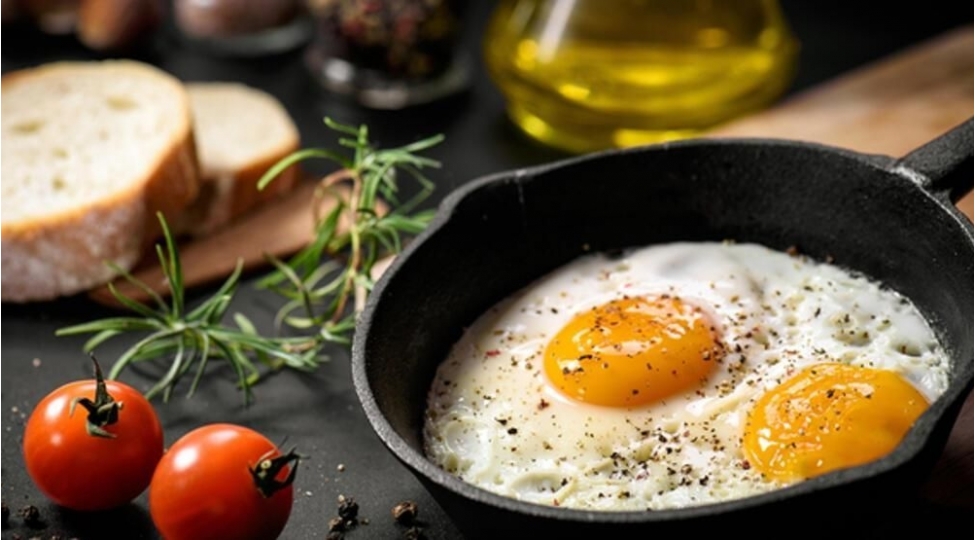 gunde-2-yumurta-orqanizmi-xerchengden-qoruyur