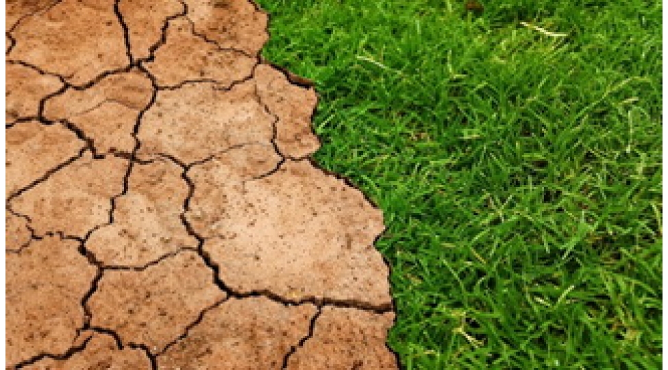 yerin-en-esas-tebii-resursu-su-imish