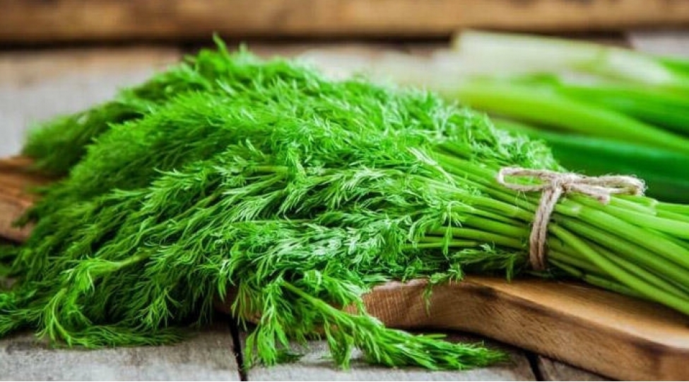 bu-bitki-10-derde-dermandir