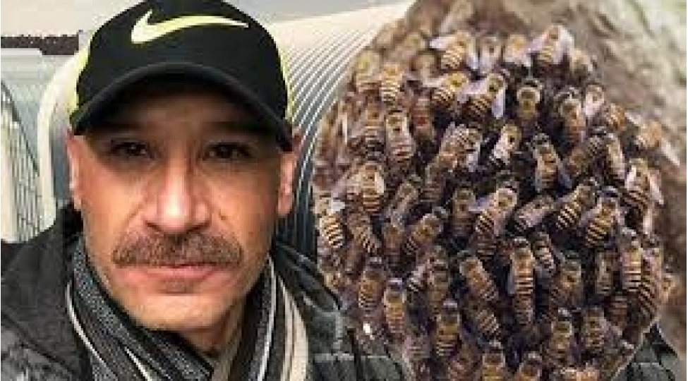 arihucumu10-deqiqede-can-aldi