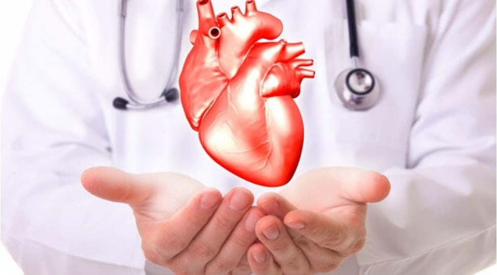 yashli-urekleri-cavanlashdiran-arashdirma