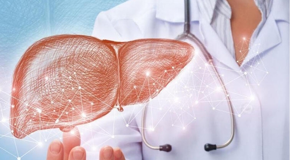 alimler-qaraciyerin-yashini-hesabladilar