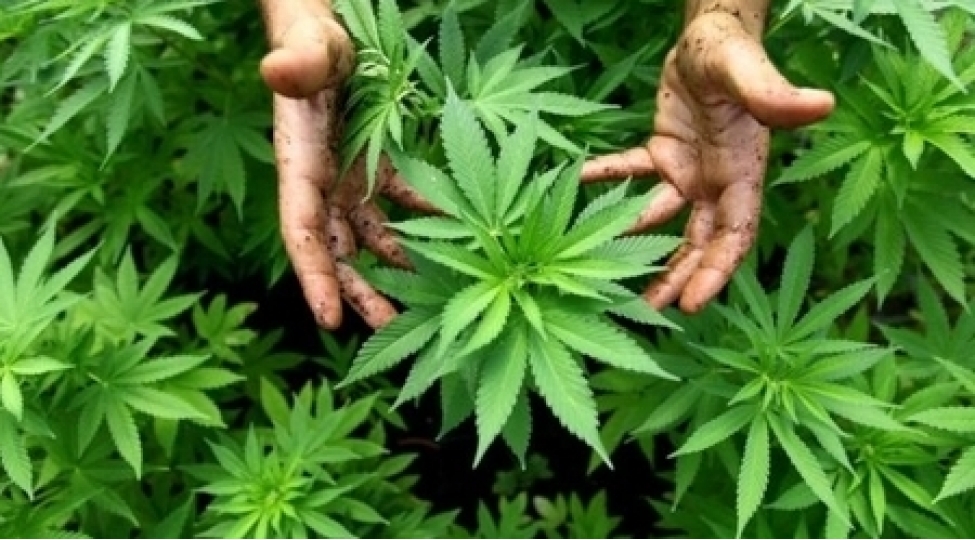 dunyanin-en-tehlukeli-sheherleri