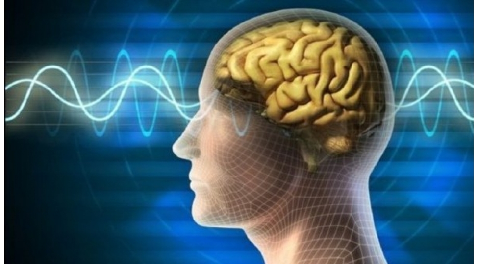 zehni-fealiyyetimizi-nece-artiraq