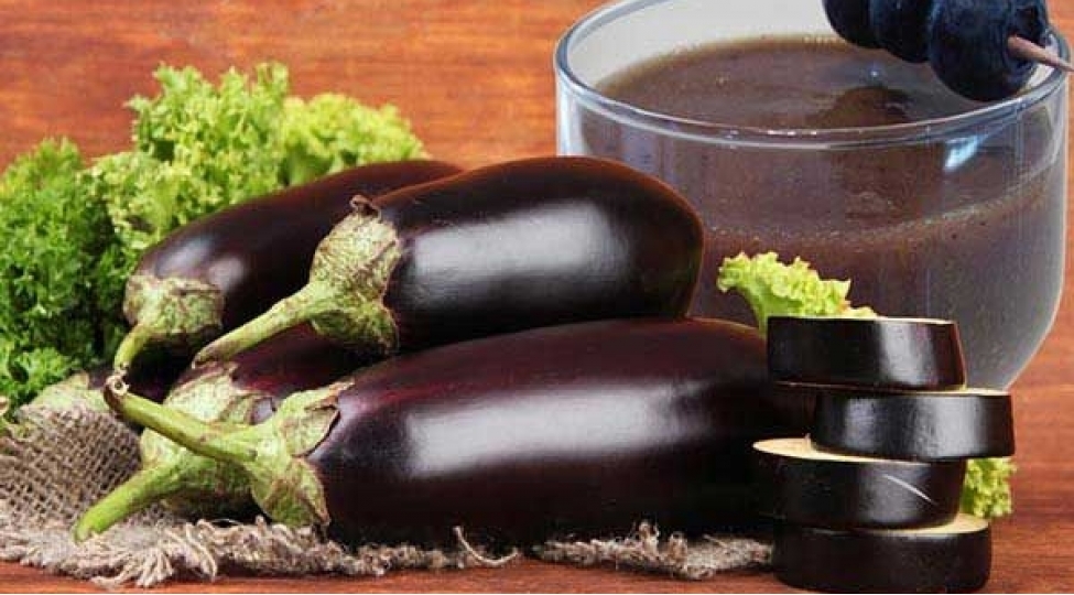 uzunomurluluk-terevezi-10-mocuzeli-faydasi