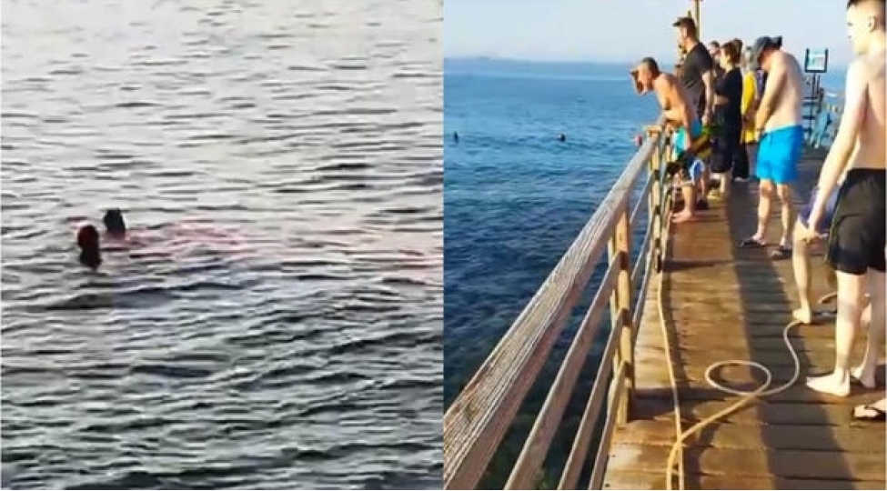 kopekbaligi-turistin-ayagini-dishledi