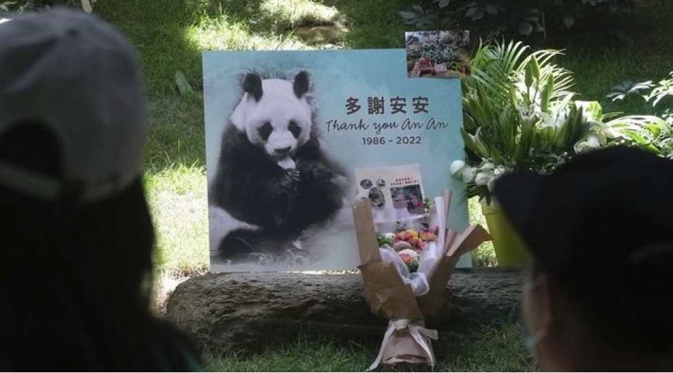 dunyanin-en-yashli-pandasi-oldu-sebeb-yuksek-xolesterol