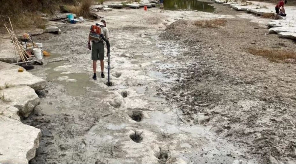 absh-da-chayda-dinozavr-izleri-ashkarlanib