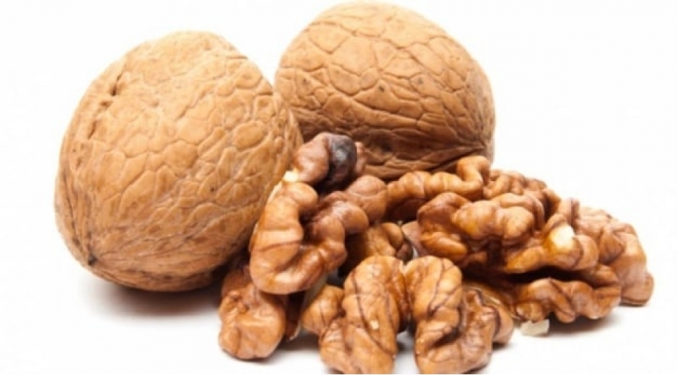 qozla-qara-shokolad-beyini-sagaldir