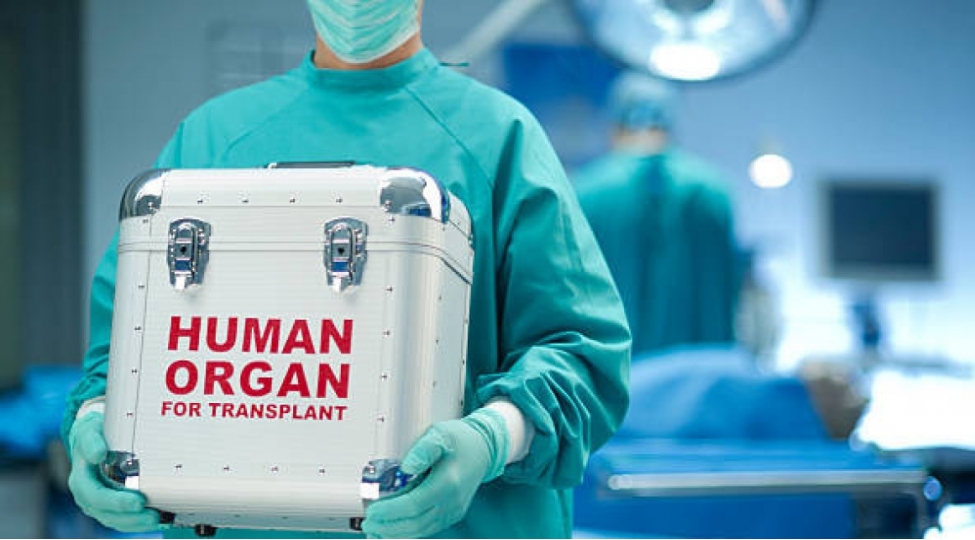 ilin-5-ayi-erzinde-donor-sayi-50-minden-artiq-olub