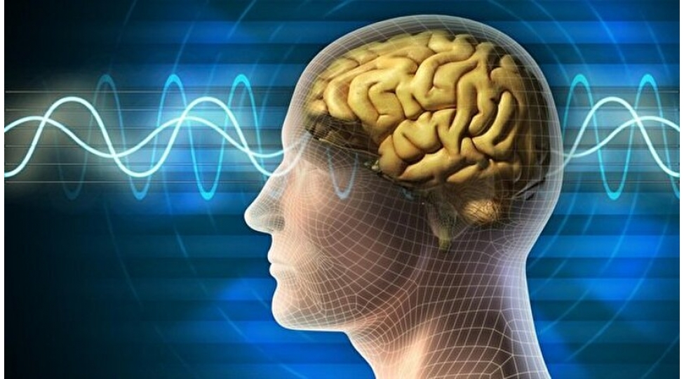 beynimiz-neleri-xoshlamir