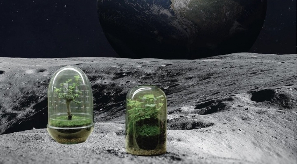 ayda-ekin-bichin-planlashdirilir