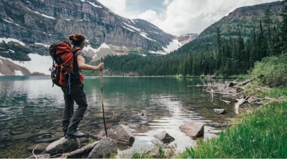 chox-gezen-chox-biler