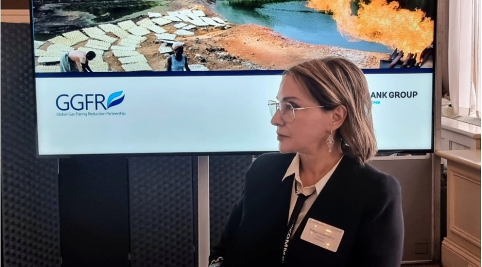 socar-numayendeleri-dunya-bankinin-ggfr-teshkilatinin-rehber-heyetinin-illik-iclasinda-ishtirak-edib