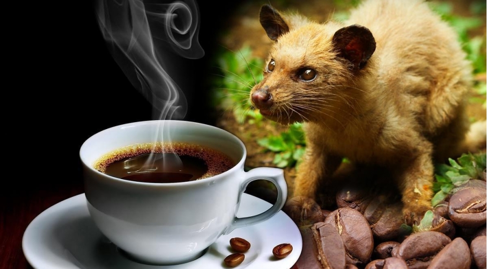 her-kesin-cibine-uygun-olmayan-eshyalar-foto