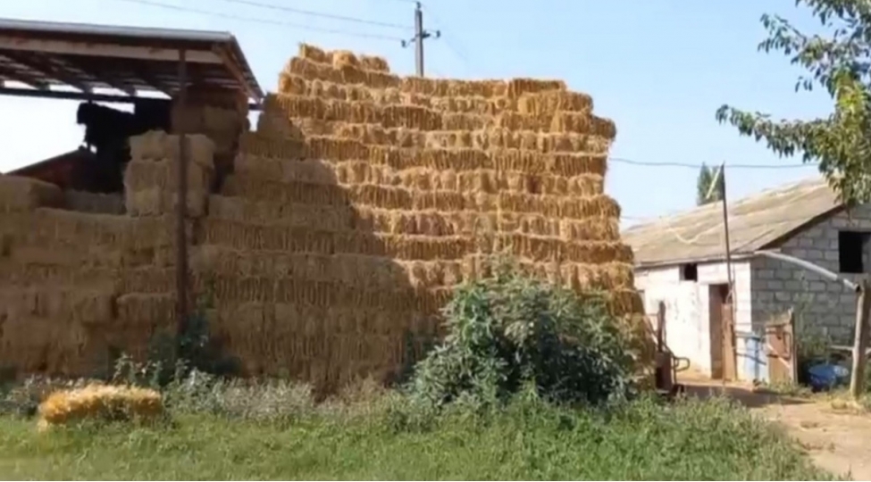 fhn-heyvandarliq-fealiyyeti-ile-meshgul-olanlara-muraciet-edib