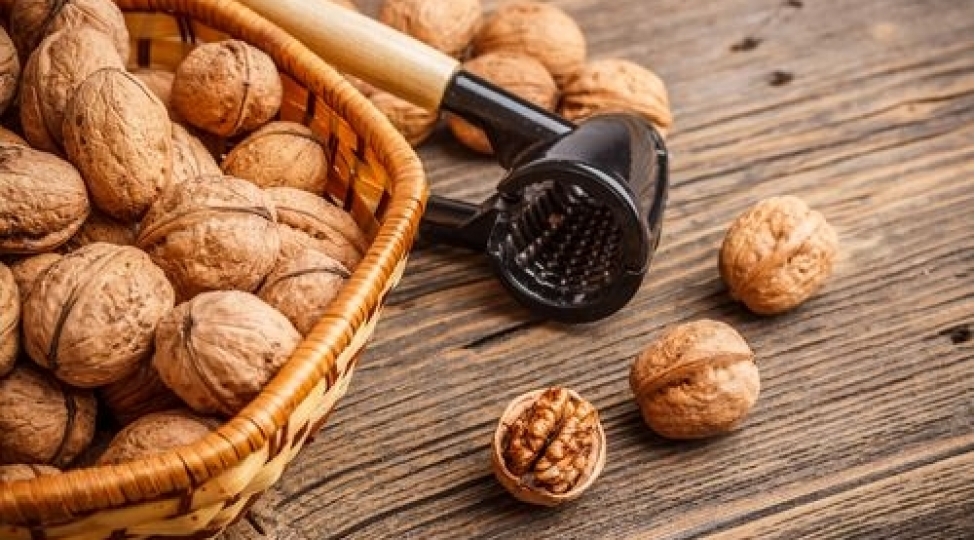 tromba-qarshi-qoz-yeyin