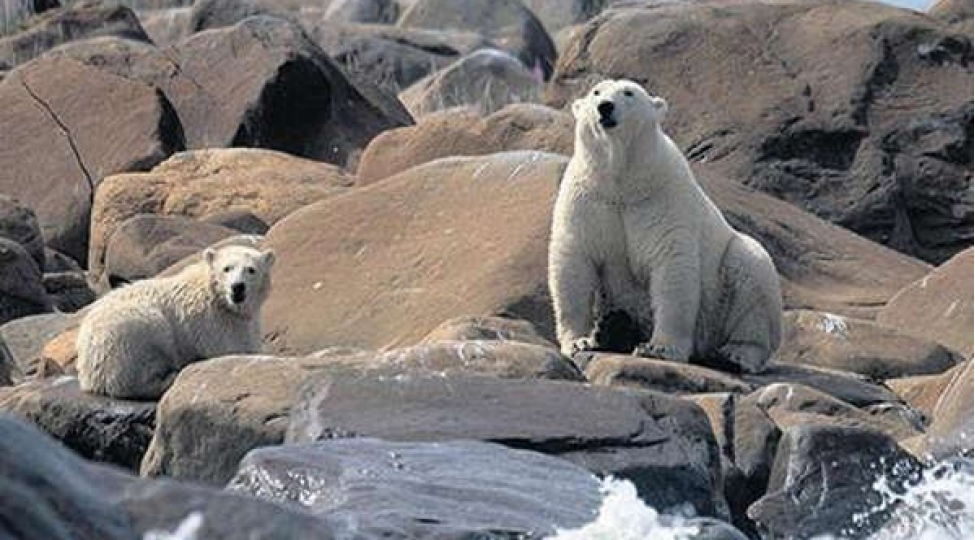 2023-cu-il-bu-ilden-daha-isti-olacaq