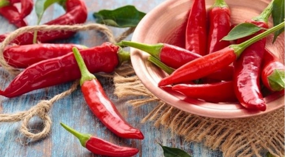 metaztazlarin-qarshisini-alan-aci-biber