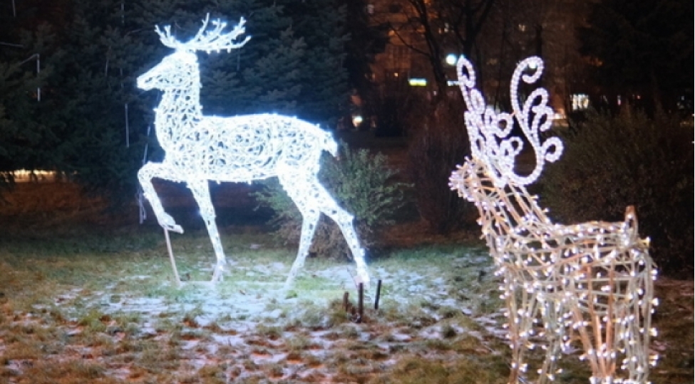 qizla-oglan-yen-il-maralini-ogurladilar-video