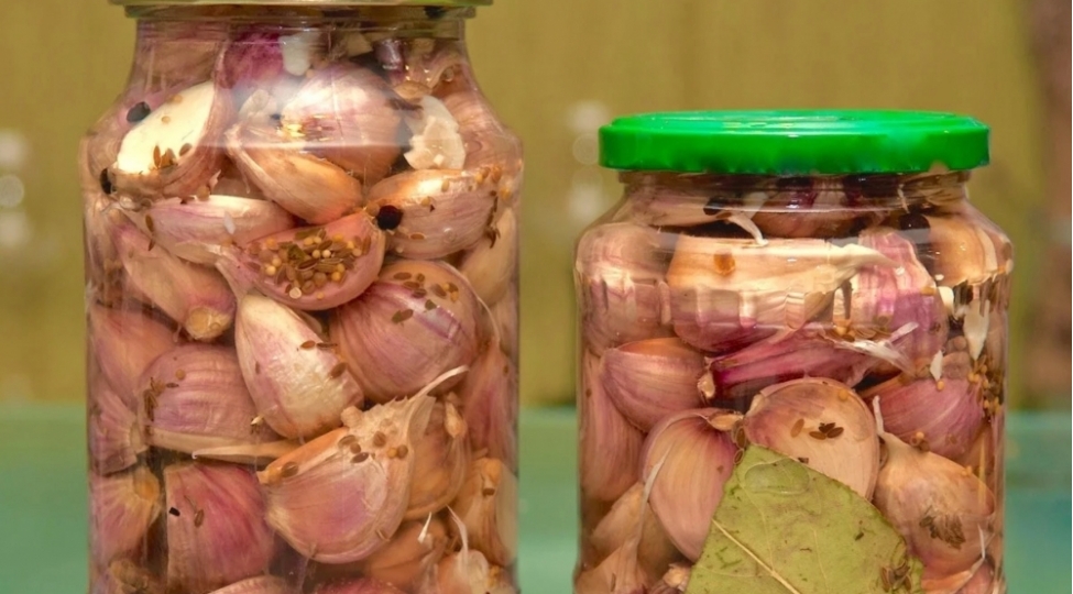 ariqladan-sirkeli-sarimsaq-turshusu