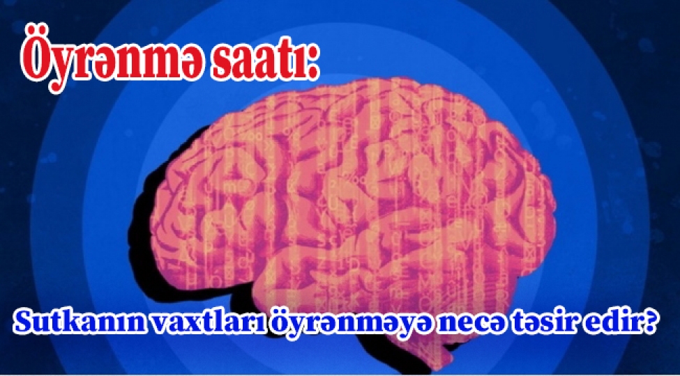 oyrenme-saati-sutkanin-vaxtlari-oyrenmeye-nece-tesir-edir