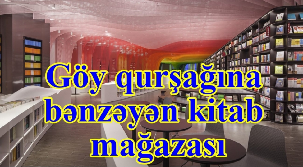 goy-qurshagina-benzeyen-kitab-magazasi