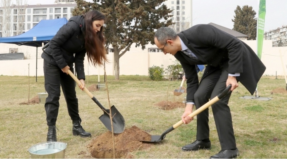 yashil-marafon-2023-agacekme-kampaniyasina-start-verilib-foto