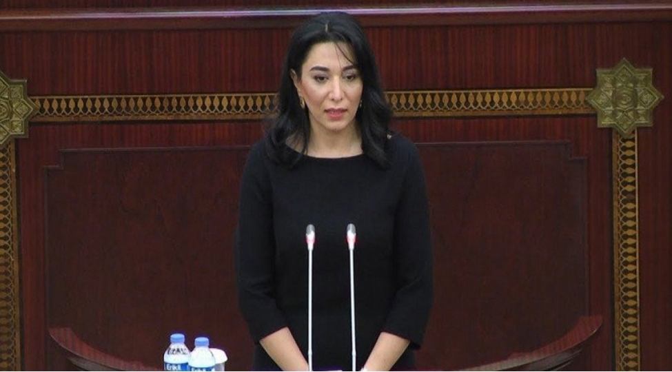 ombudsman-azerbaycan-dunyada-dezinformasiyadan-en-chox-eziyyet-cheken-olkelerden-biridir