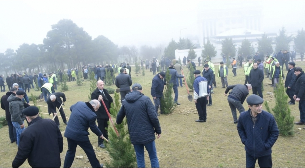 xetai-rayonunda-heyder-eliyev-ili-cherchivesinde-novbeti-agacekme-aksiyasi-kechirilib-foto