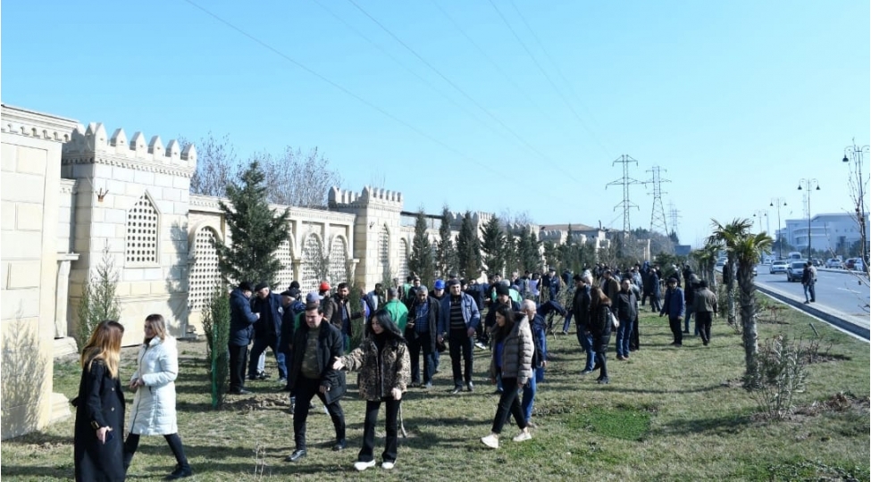 sumqayitda-heyder-eliyev-ili-cherchivesinde-novbeti-agacekme-aksiyasi-kechirilib