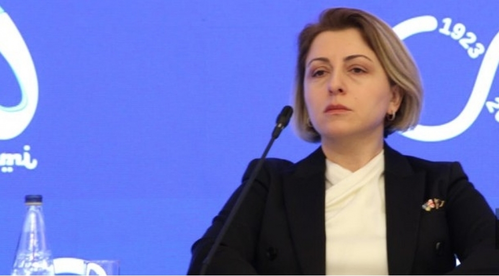 azerbaycanda-milli-kimliyin-esasi-heyder-eliyev-dovrunde-qoyulub-eka-tkeshelashvili