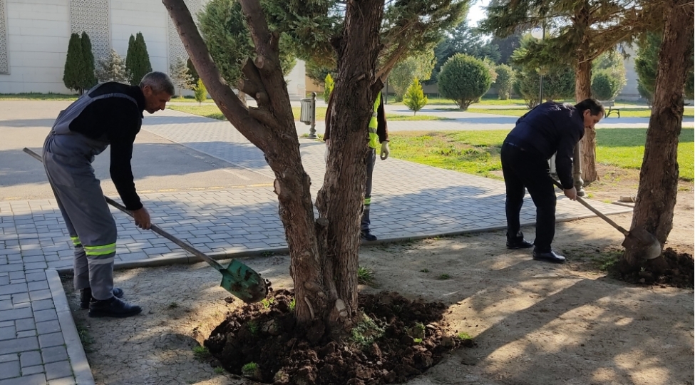 bilesuvar-rayonunda-genishmiqyasli-imecilikler-kechirilib-foto