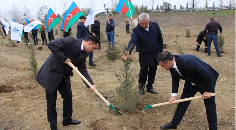 yevlaxda-ulu-onder-heyder-eliyevin-100-illik-yubileyi-munasibetileagacekme-aksiyasi-kechirilib