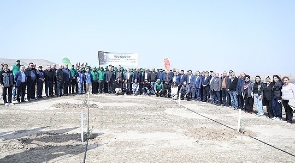 iki-nazirlik-birge-agacekme-aksiyasi-teshkil-edib