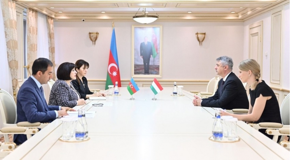 milli-meclisin-sedri-macaristanin-azerbaycandaki-sefiri-ile-gorushub