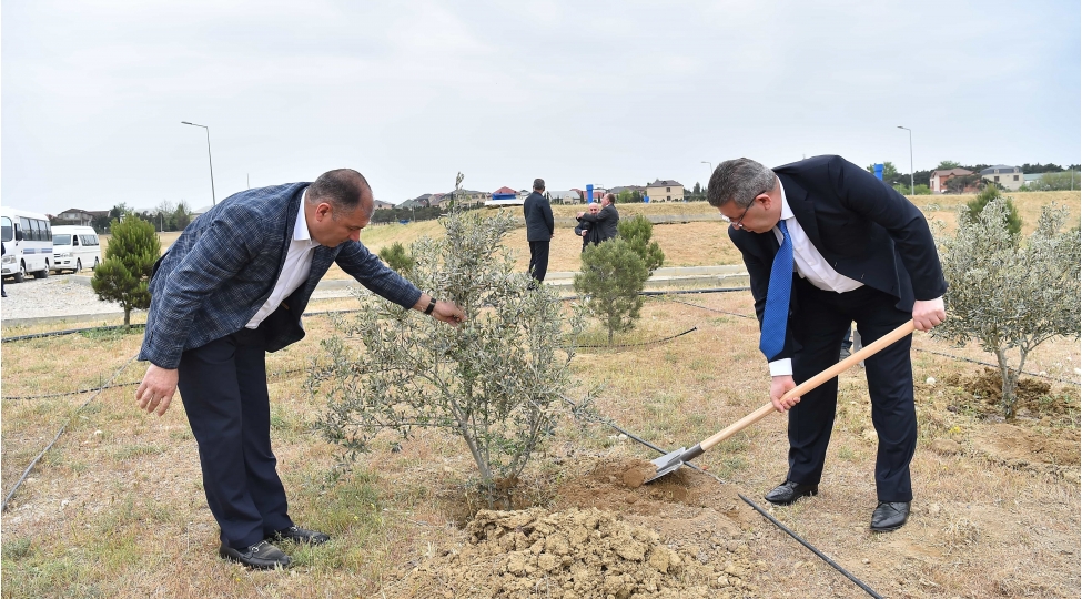 azerbaycan-xalqinin-umummilli-lideri-heyder-eliyevin-100-illik-yubileyi-munasibetile-agacekme-aksiyasi-kechirilib-foto