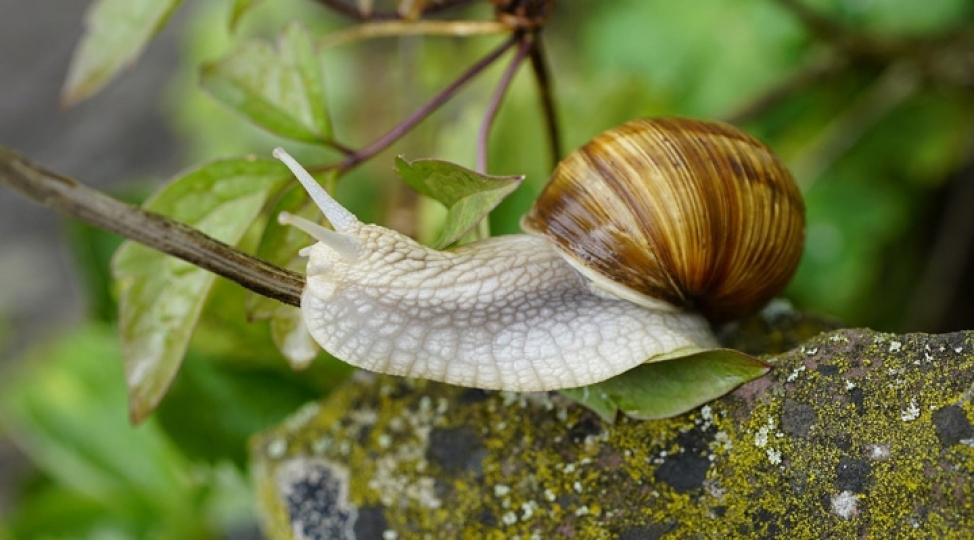 ilbizlerin-duygulari-ve-yaddashi-var-imish