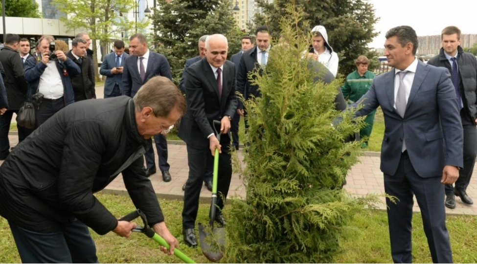 heshterxanda-heyder-eliyevin-adini-dashiyan-parkda-agacekme-aksiyasi-kechirilib-foto
